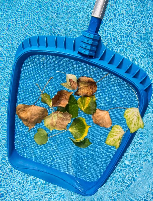 Luxury Pool Construction